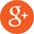 Google +